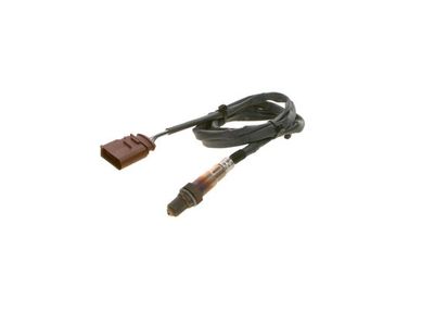 Oxygen sensor