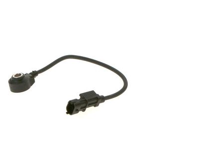 Knock sensor