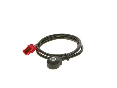 Knock sensor