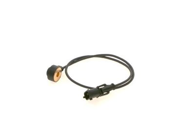 Knock sensor