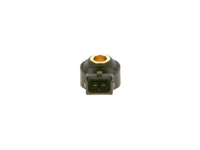 Knock sensor
