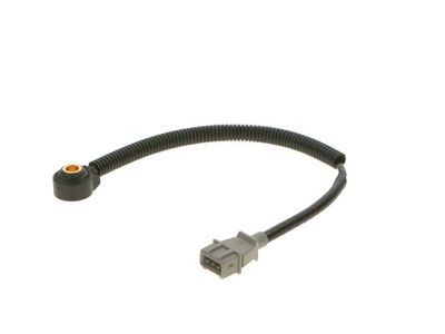 Knock sensor