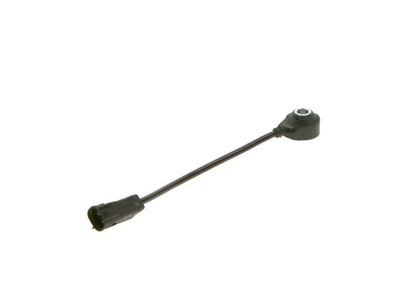 Knock sensor