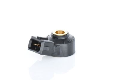 Knock sensor