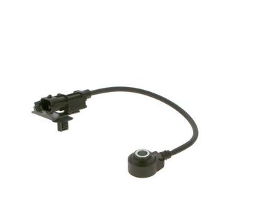 Knock sensor