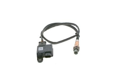 Particulate sensor