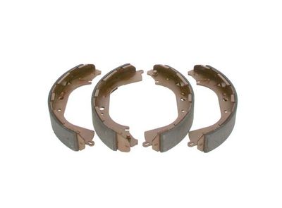 Serie ganasce freno terrano/pathfinder (295x50)