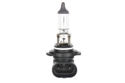 Lampada 12V 42W H10