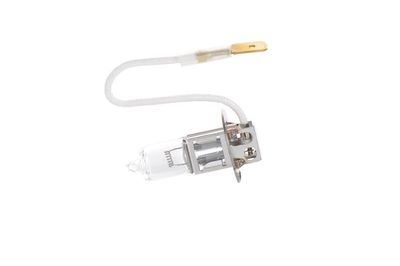 Lampada 24V 70W H3 truklight
