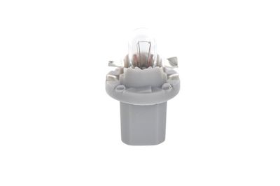 Lampadine 24V 1,2W trucklight