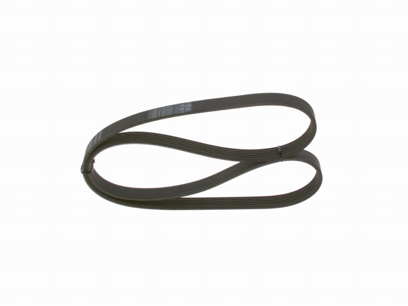 *V-ribbed belt