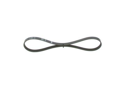 *V-ribbed belt