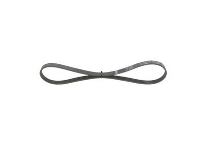*V-ribbed belt