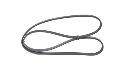 *V-ribbed belt