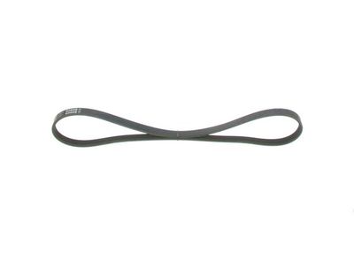 *V-ribbed belt