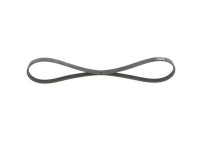 *V-ribbed belt