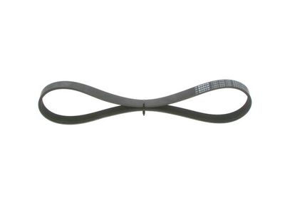 *V-ribbed belt