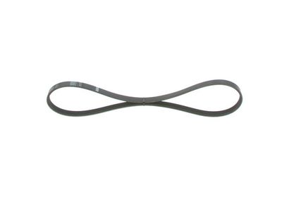 *V-ribbed belt