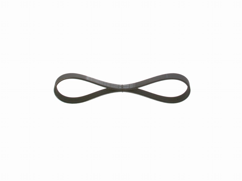 *V-ribbed belt