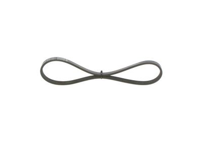 V-ribbed belts