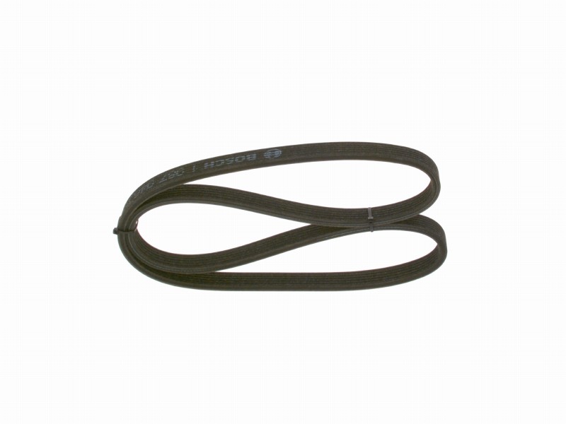 *V-ribbed belt