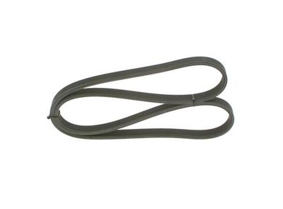 *V-ribbed belt