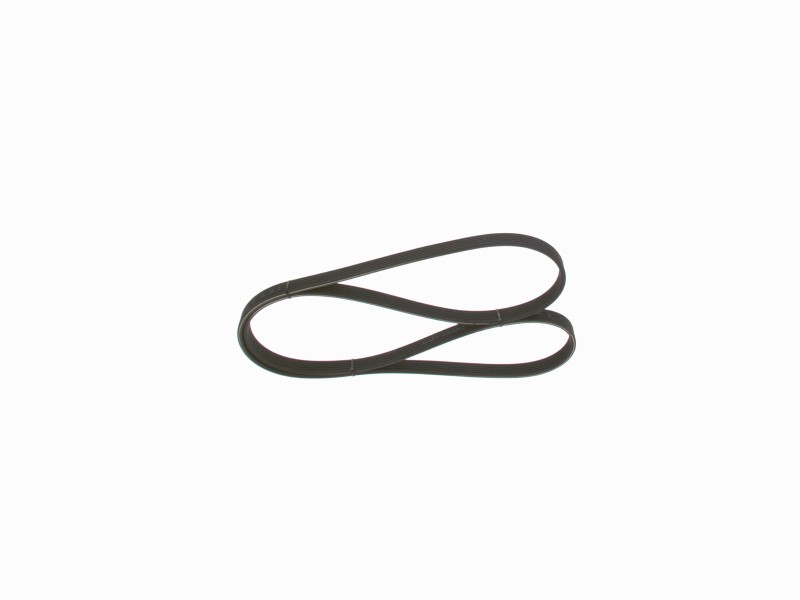 *V-ribbed belt