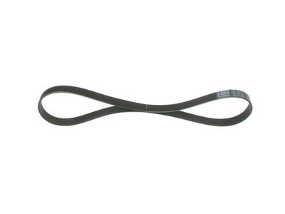 *V-ribbed belt