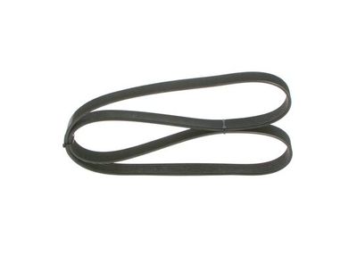 *V-ribbed belt