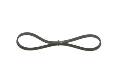 *V-ribbed belt