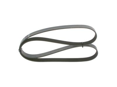 *V-ribbed belt