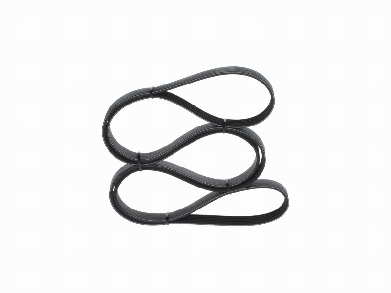 V-ribbed belts