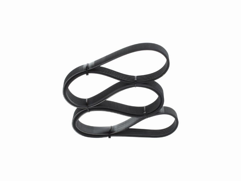 *V-ribbed belt
