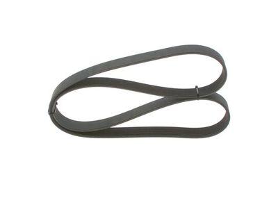 *V-ribbed belt