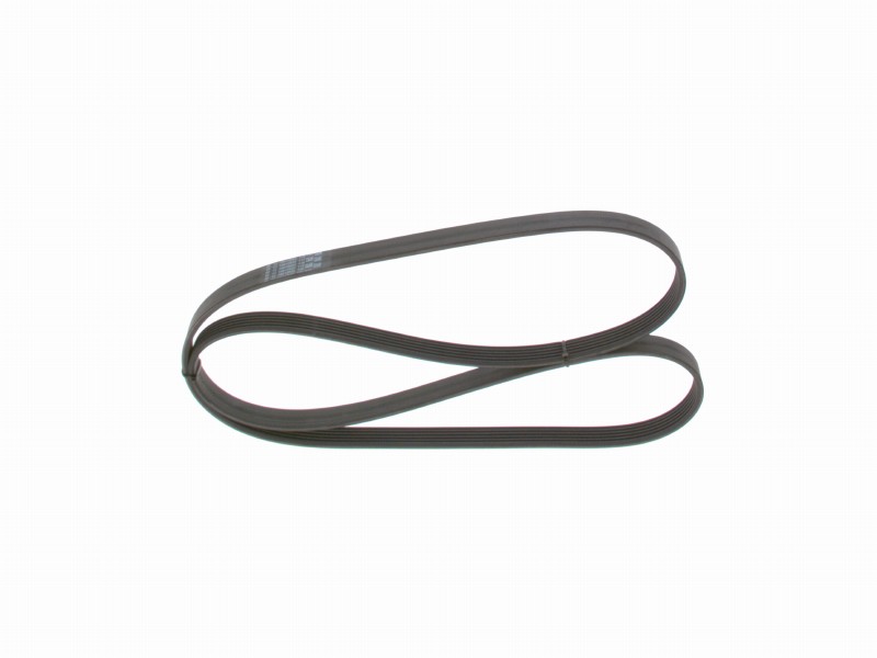 *Ribbed V-belt