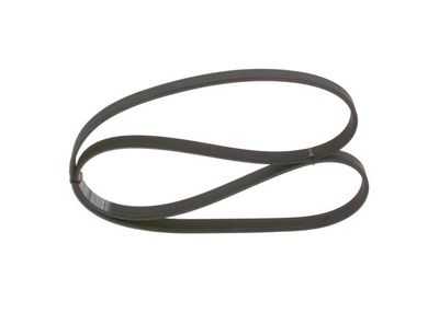 *V-ribbed belt
