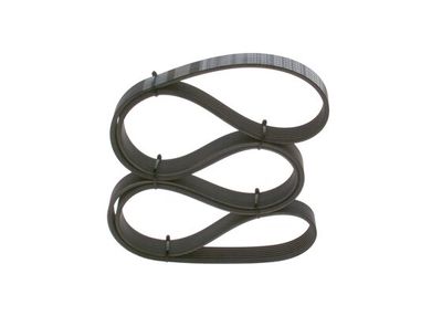 *V-ribbed belt