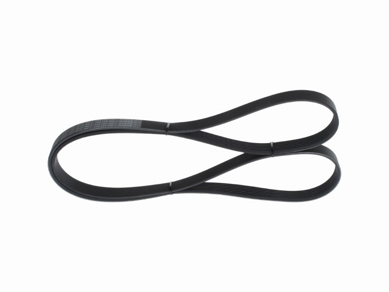 *V-ribbed belt