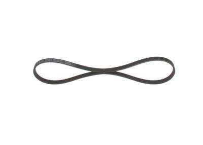 *V-ribbed belt