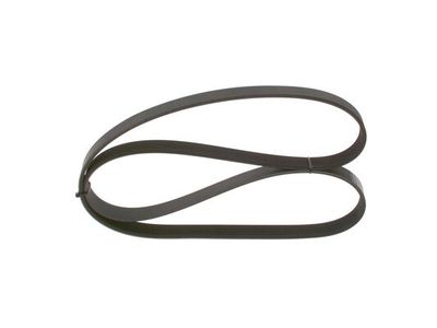 *V-ribbed belt