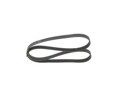 *V-ribbed belt