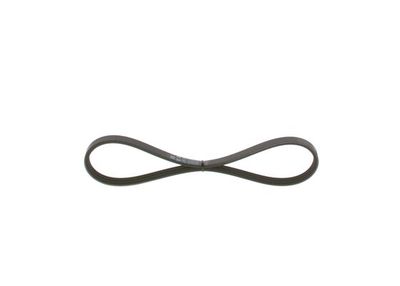 *V-ribbed belt