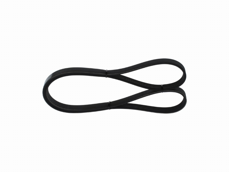 *V-ribbed belt