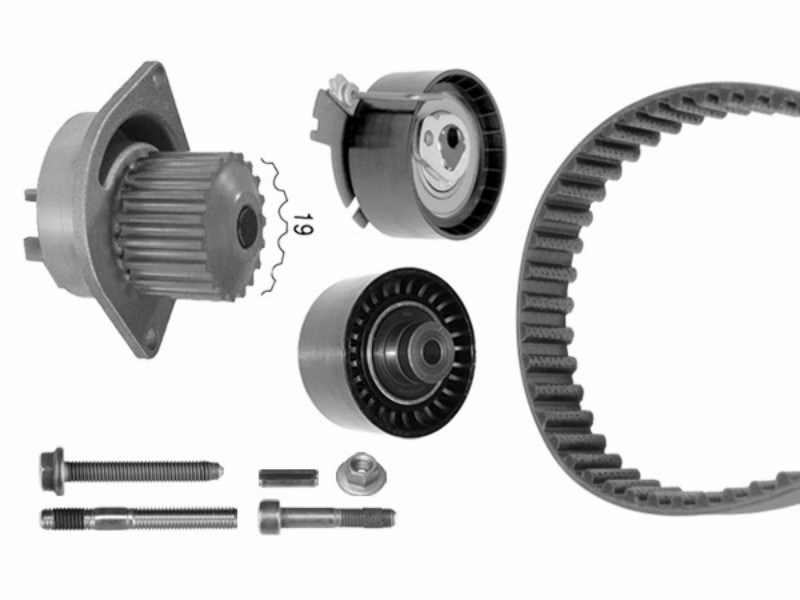 Pump/timing belt set