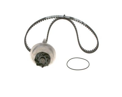 Pump/timing belt set