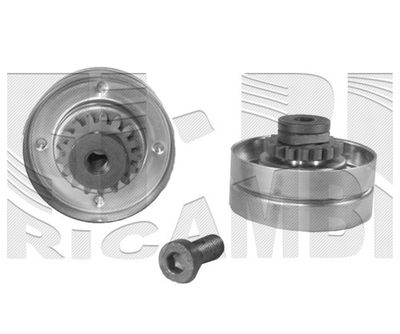 Ru anteriore Audi Q5 (8RB) 11/08-12/17