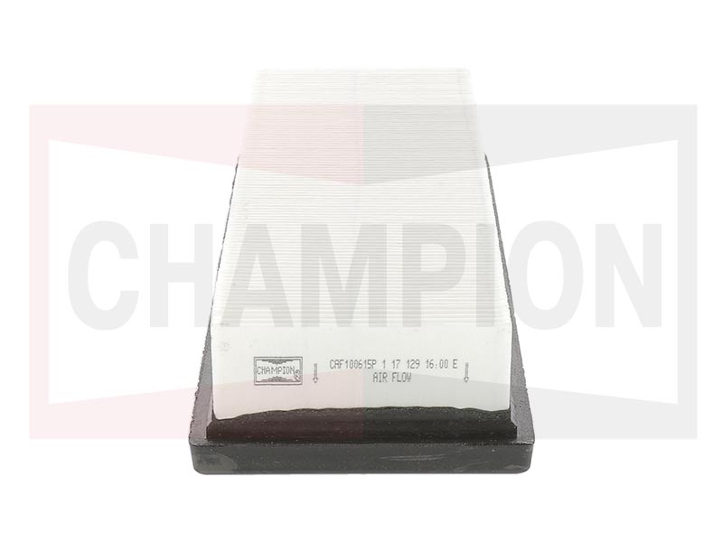 Air filter