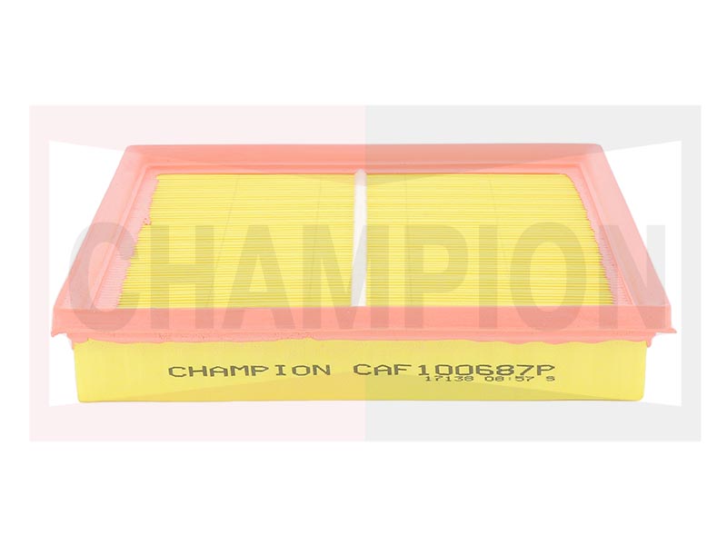 Air filter
