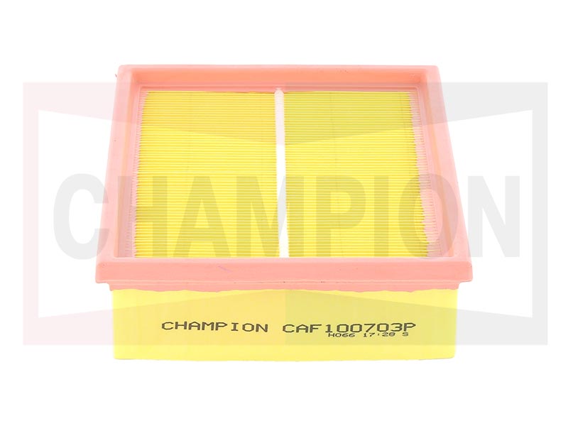 Air filter