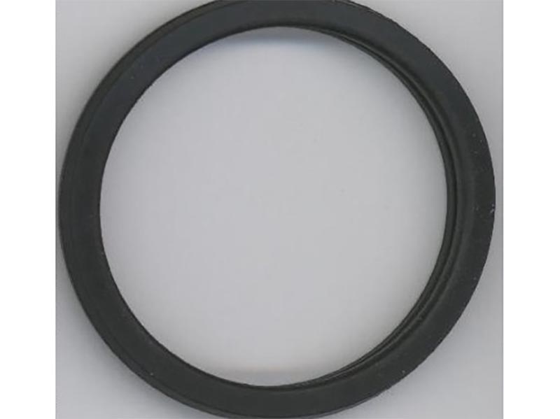 FORD Guarnizione termostato